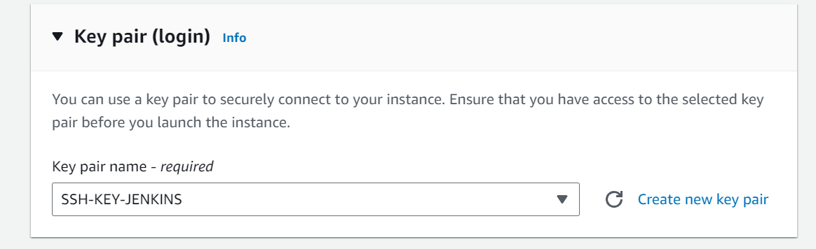 Jenkins-Instance