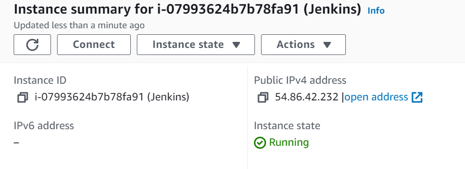 Jenkins-Instance