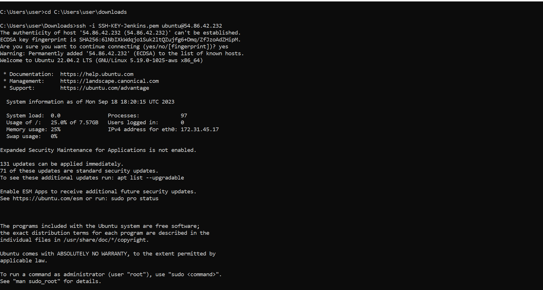 Jenkins-Instance