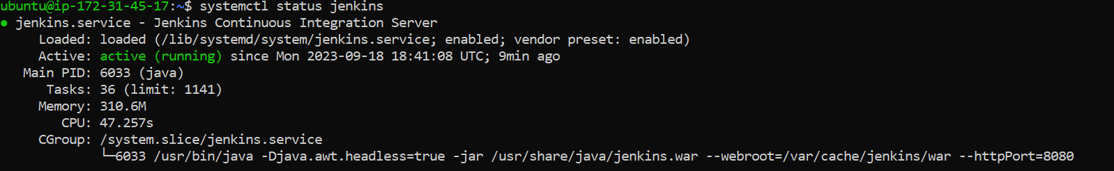 Jenkins-Instance